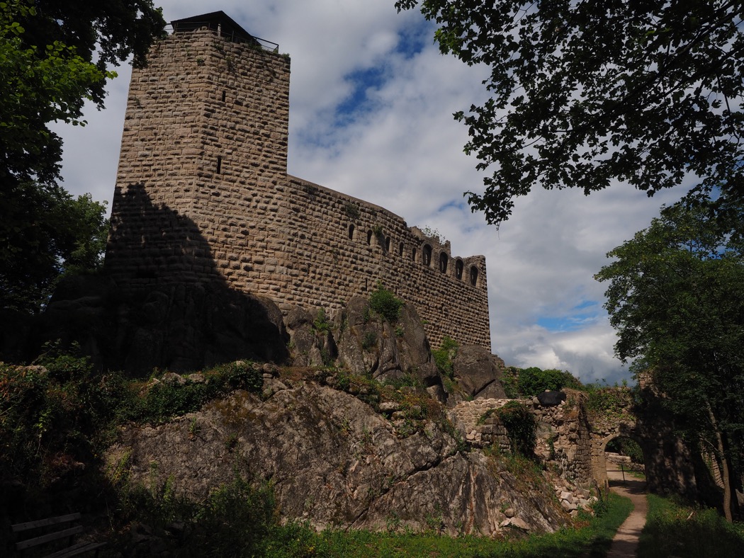 Les ruines du Château Dambach-La-Ville